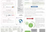 create professional infographic poster
